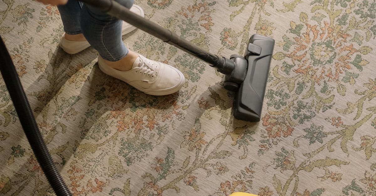 Benefits of Choosing a Local Carpet Cleaner in Brisbane