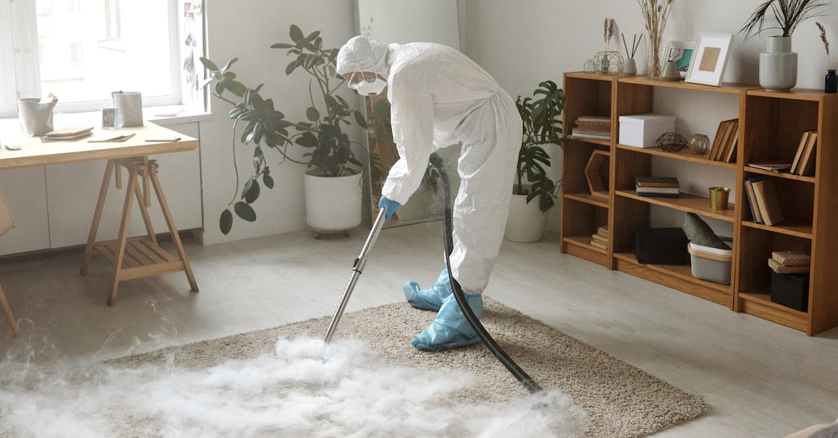 Brisbane's Best Practices for Eco-Conscious Carpet Care