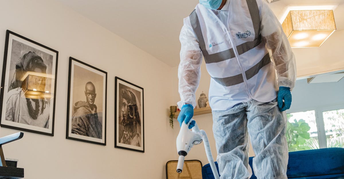 Common Mistakes to Avoid When Using Professional Stain Removal Services