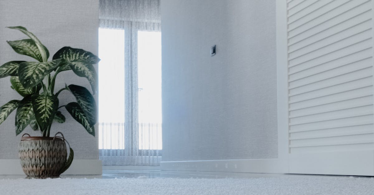 Educating Family Members on Preventing Carpet Stains