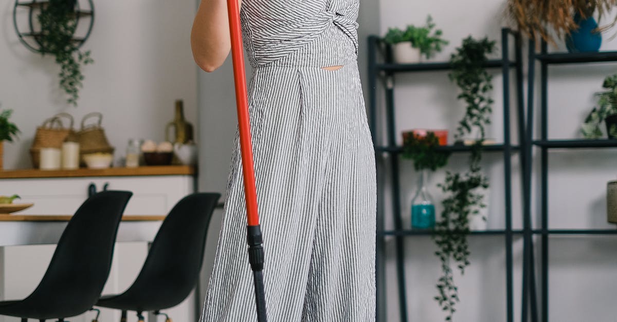 Essential Tips for Regular Carpet Maintenance in Brisbane Homes