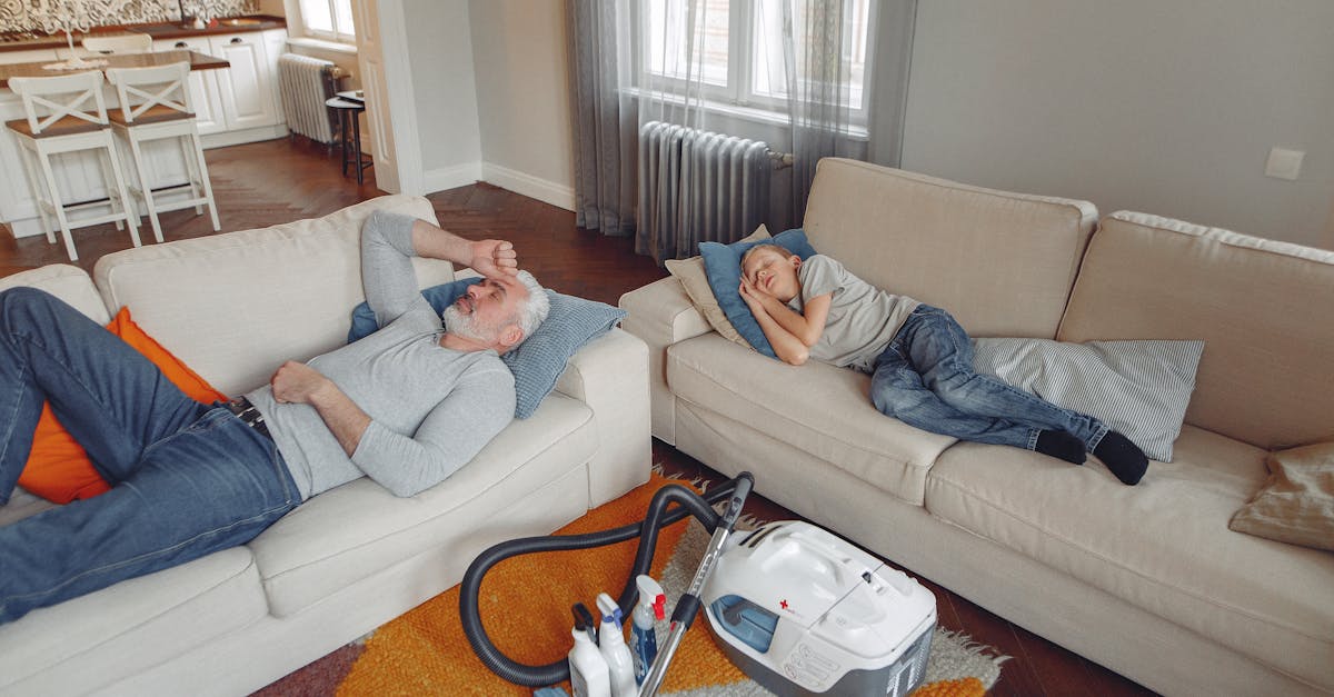 Evaluating the Effectiveness of Organic Carpet Cleaners
