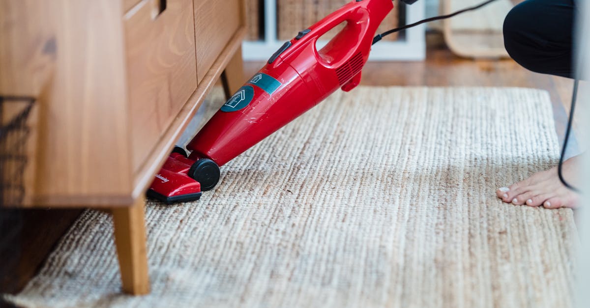 How to Choose Green Carpet Cleaning Services in Brisbane