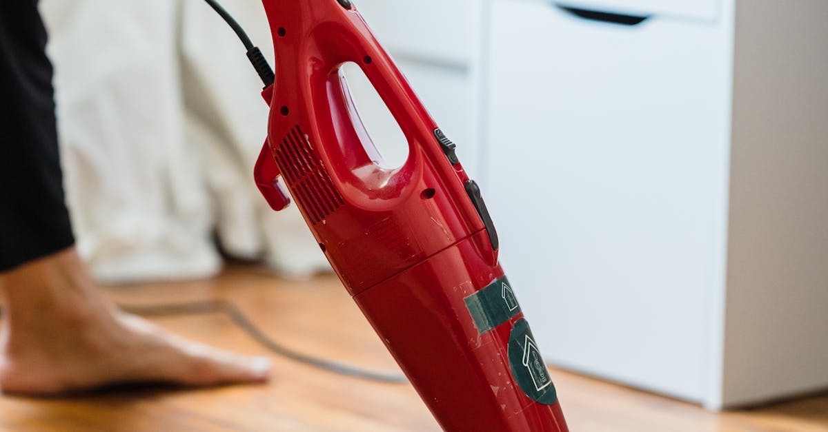 How to Remove Pet Hair from Carpets Using DIY Methods