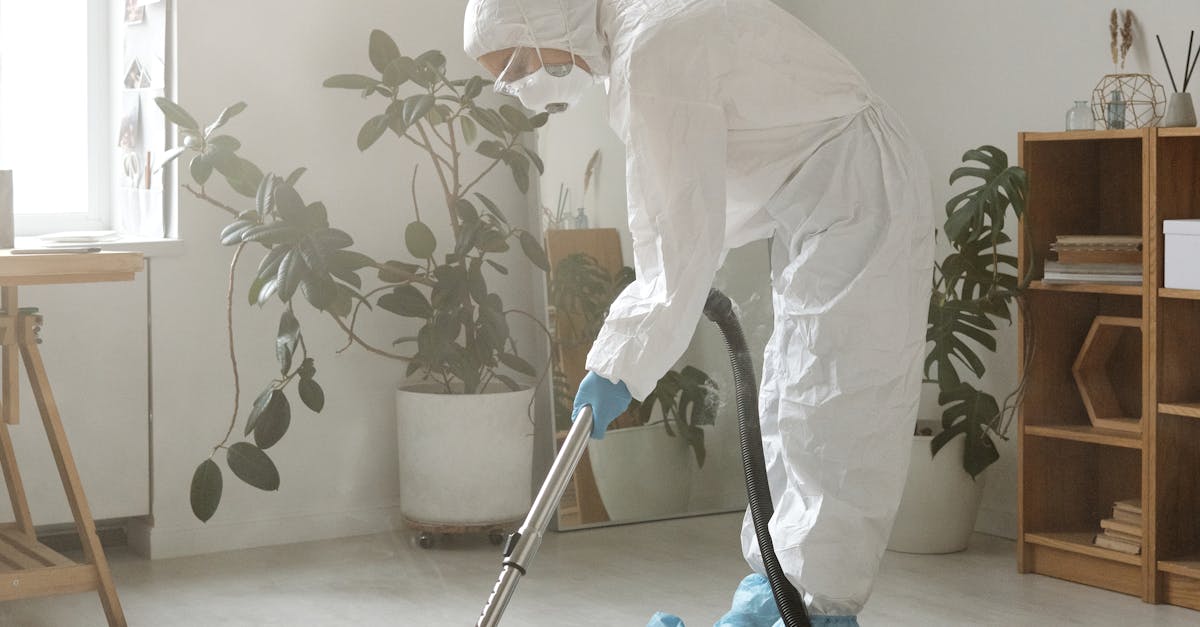 Impact of Eco-Conscious Carpet Cleaning on Employee Health