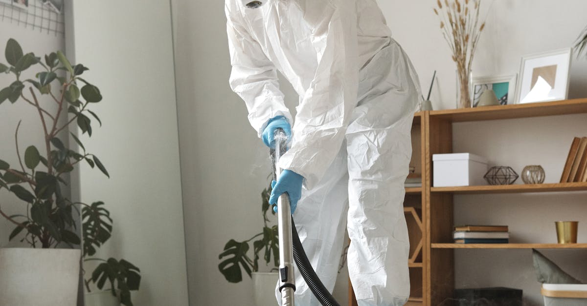 Natural Remedies for Pet Stain Removal from Carpets