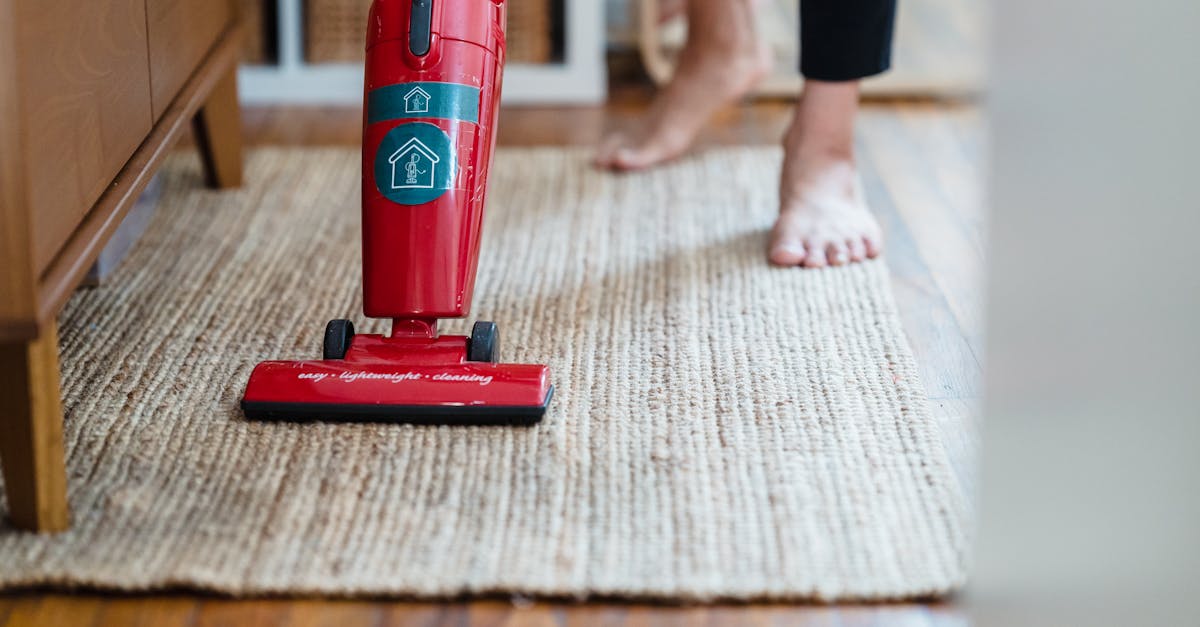 Tips for Maintaining Carpet Hygiene Between Professional Cleanings