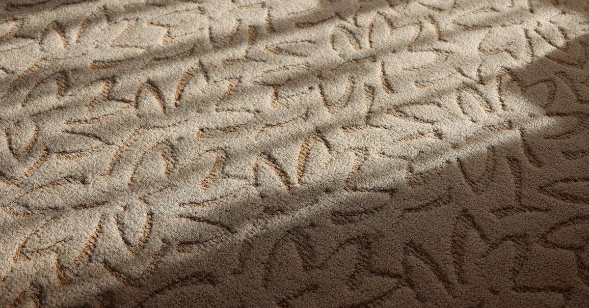 Tips for Protecting Carpets from Wear and Tear