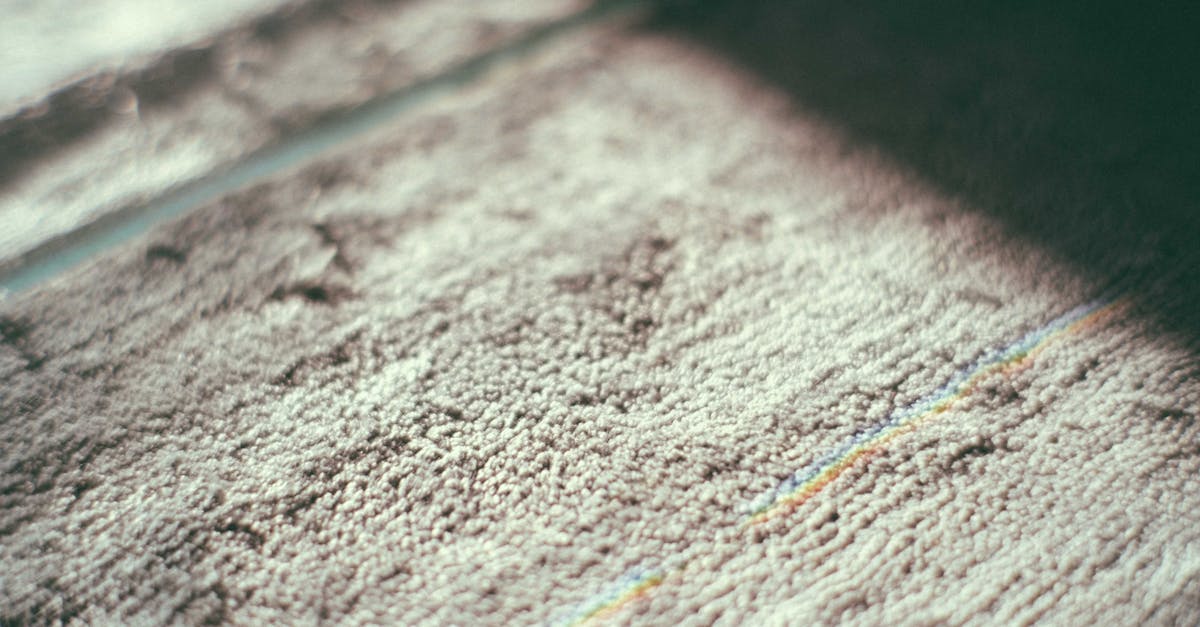 Understanding Carpet Fabrics for Better Maintenance